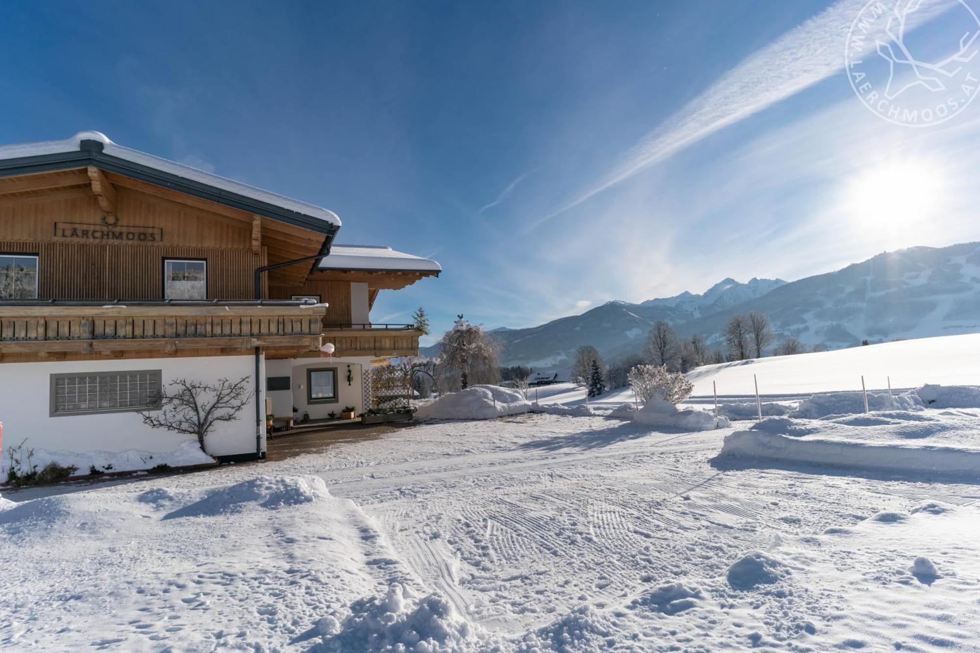 Appartements Laerchmoos Ramsau am Dachstein Exterior photo