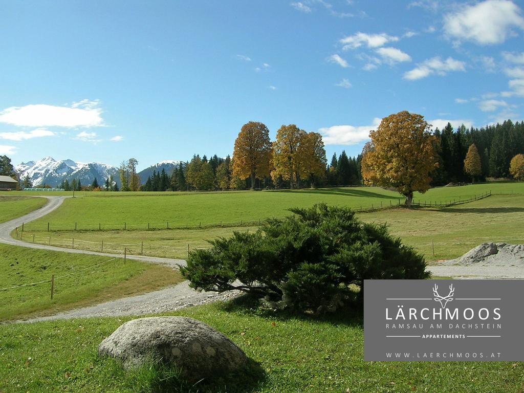 Appartements Laerchmoos Ramsau am Dachstein Exterior photo