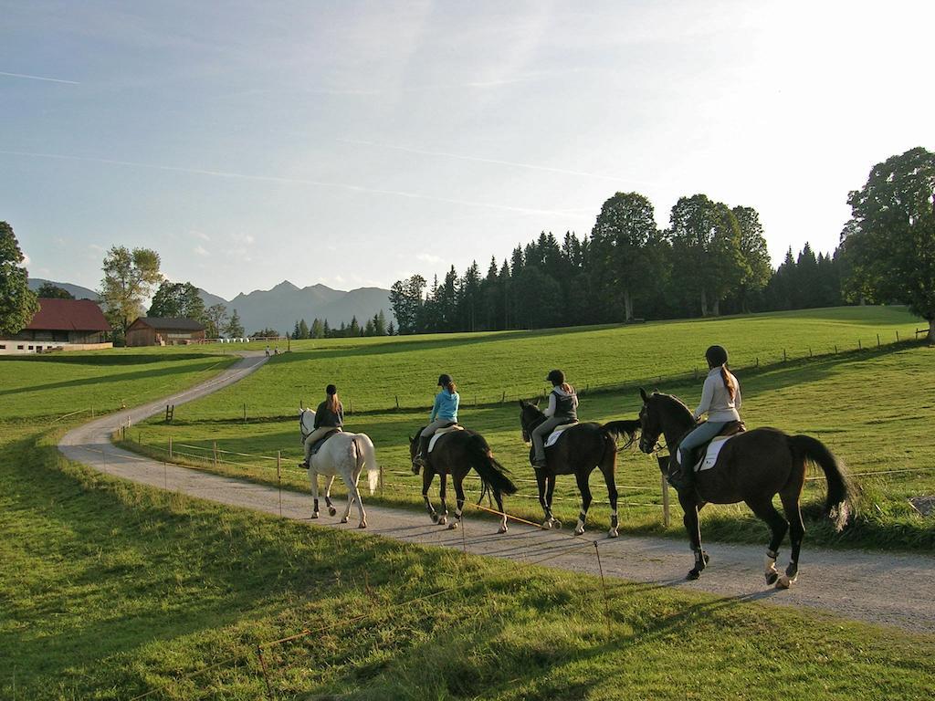Appartements Laerchmoos Ramsau am Dachstein Exterior photo
