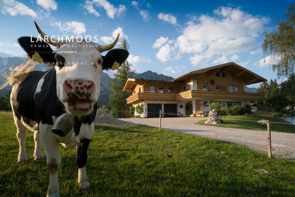 Appartements Laerchmoos Ramsau am Dachstein Exterior photo